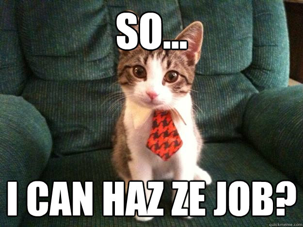 I can haz ze job? I can haz ze job?